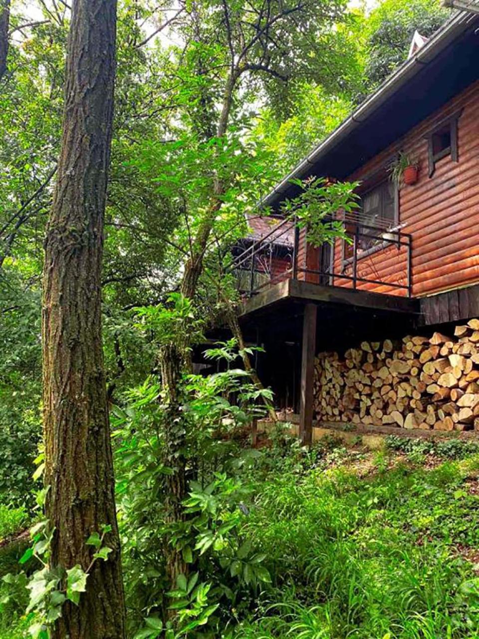 Oaza Prirode, Brvnare Platan Appartement Vrdnik Buitenkant foto