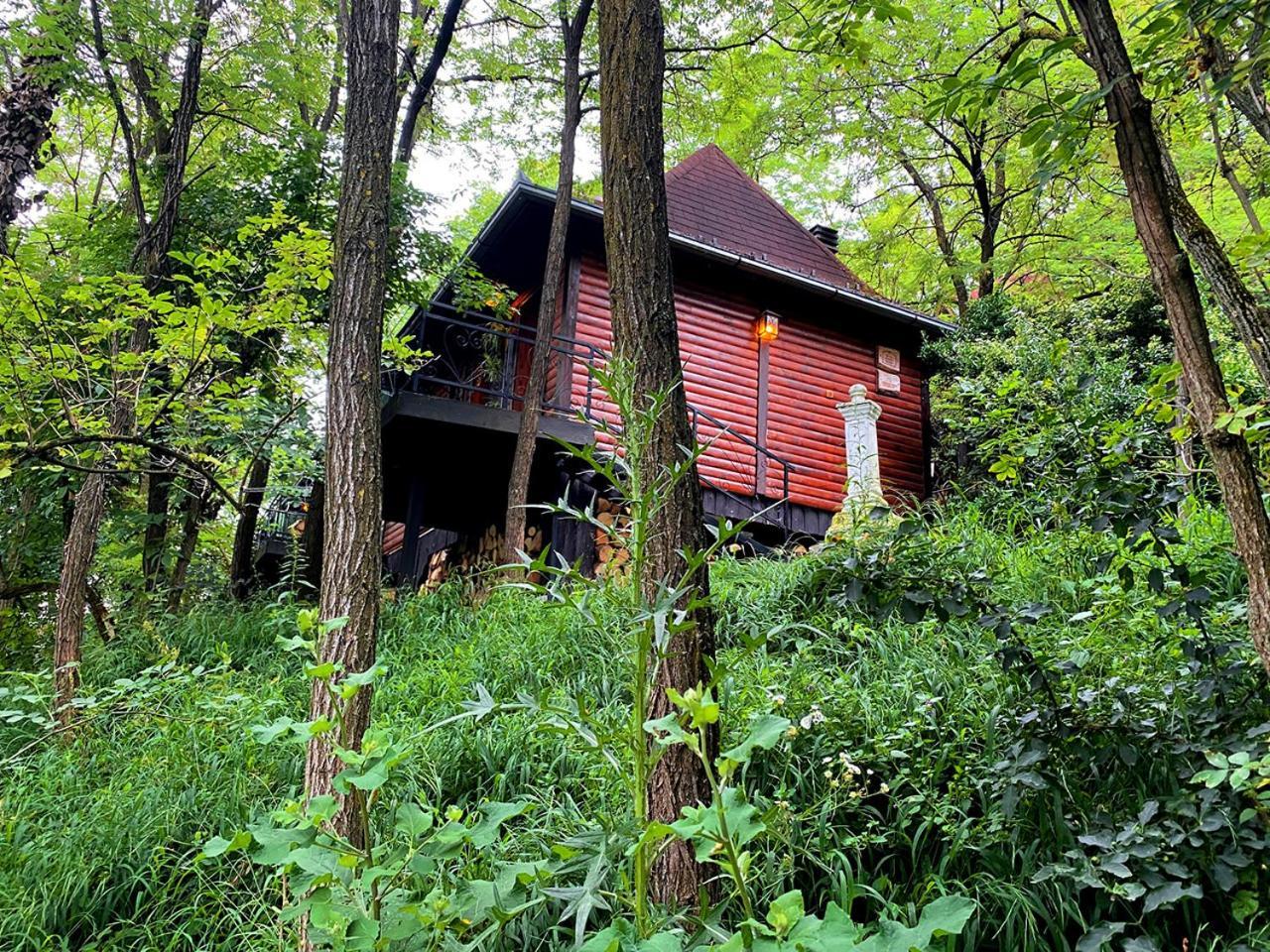 Oaza Prirode, Brvnare Platan Appartement Vrdnik Buitenkant foto