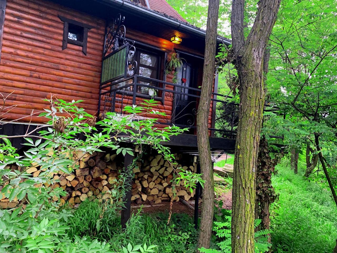 Oaza Prirode, Brvnare Platan Appartement Vrdnik Buitenkant foto