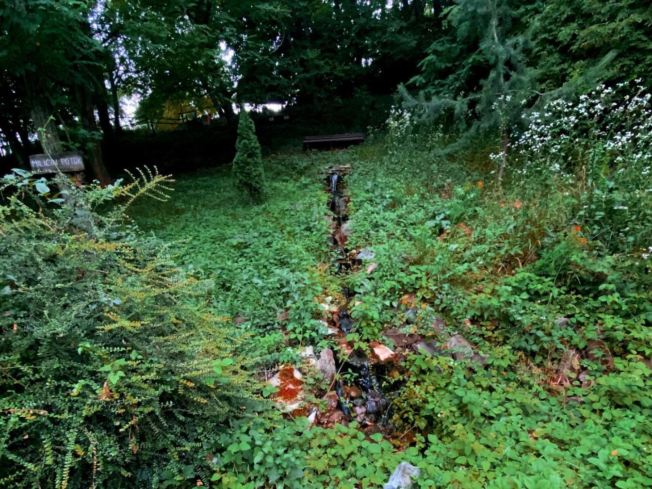 Oaza Prirode, Brvnare Platan Appartement Vrdnik Buitenkant foto