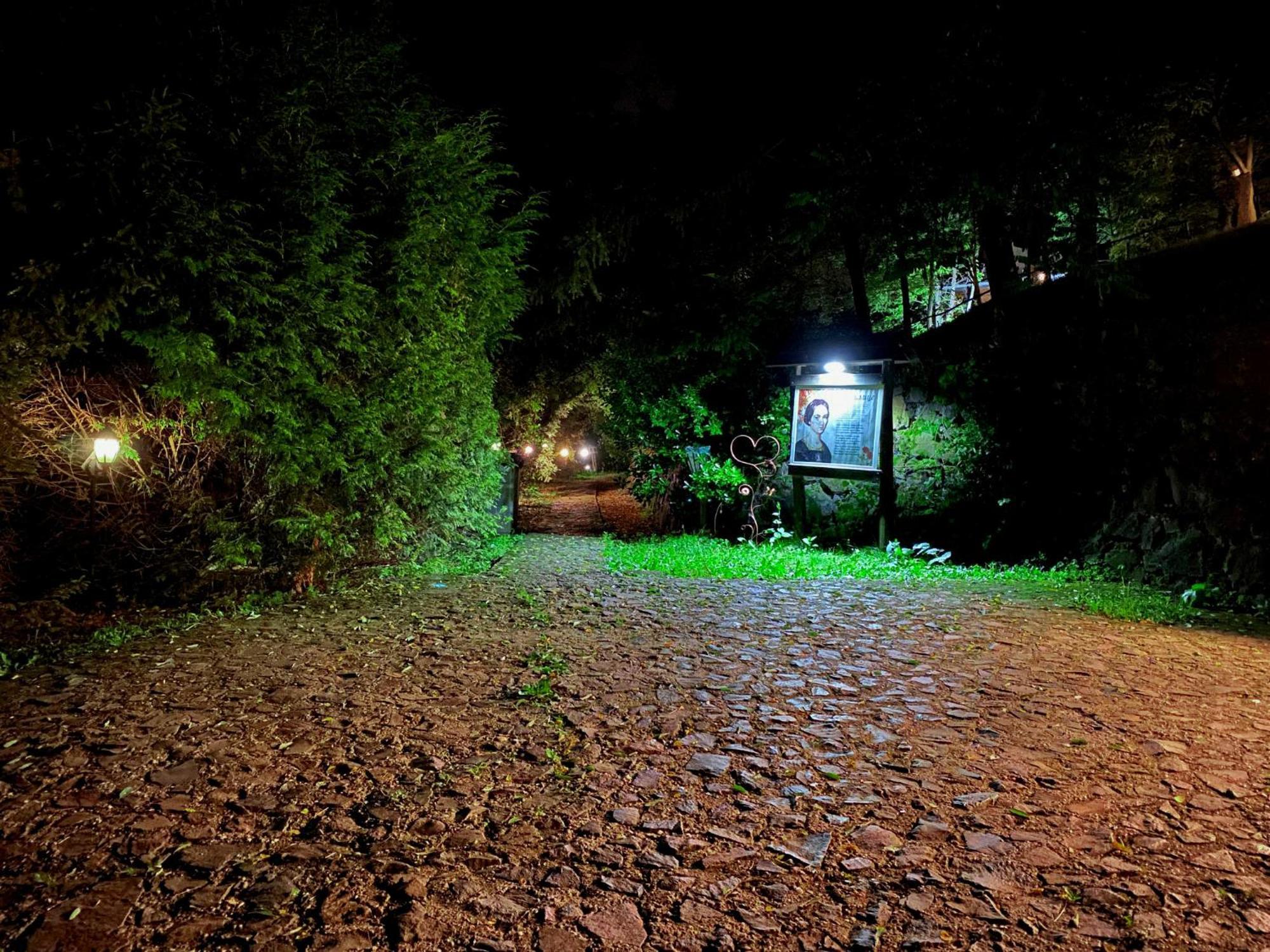 Oaza Prirode, Brvnare Platan Appartement Vrdnik Buitenkant foto