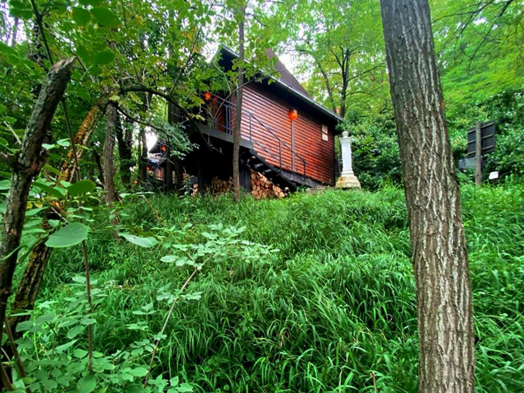 Oaza Prirode, Brvnare Platan Appartement Vrdnik Buitenkant foto