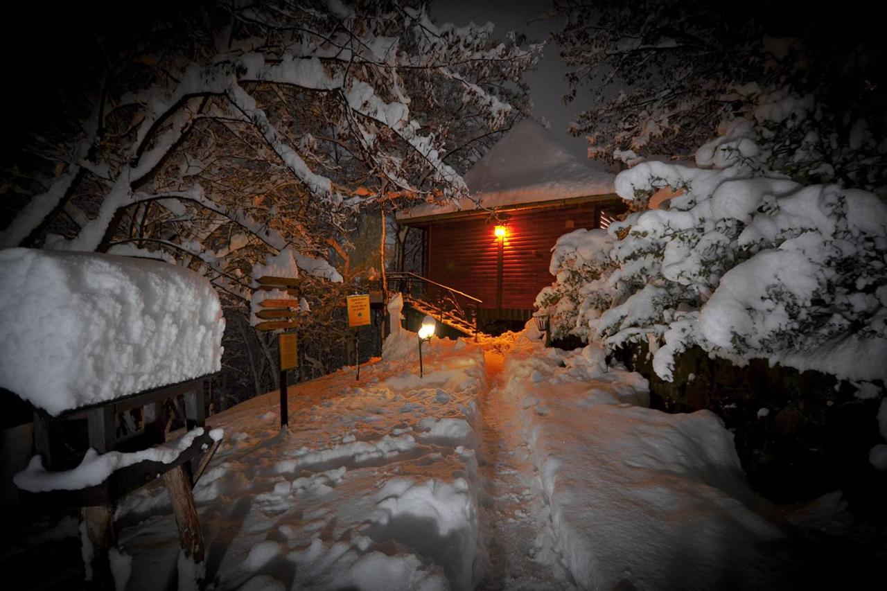 Oaza Prirode, Brvnare Platan Appartement Vrdnik Buitenkant foto